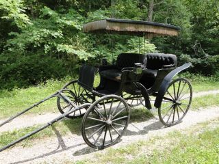 Surrey 1890 Horse Drawn Carriage Buggy Wagon Cart Cutter Sleigh Shaves