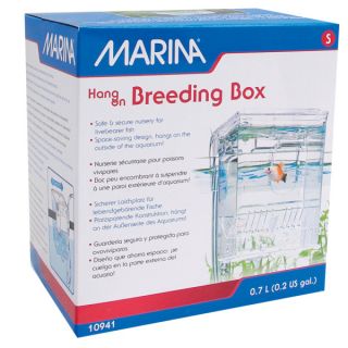Marina Hang On Breeder Box   Fish Care   Fish