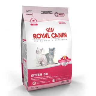 Royal Canin Kitten 36 Formula   Food   Cat