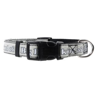 Designer Dog Collars & Colorful Dog Collars and Leashes