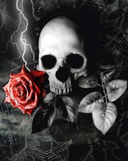 Poster Skull Rose Totenkopf Schädel Rose Gothic Tod