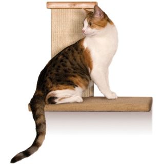 SmartCat Sky Climber for Cats   Furniture & Towers   Furniture & Scratchers