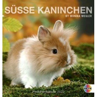 Süße Kaninchen 2010. Postkartenkalender: Monika Wegler