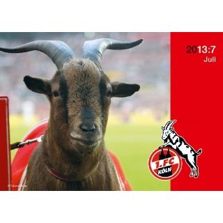 FC Köln 2013 Fan  und Schülerkalender Eduard Bopp
