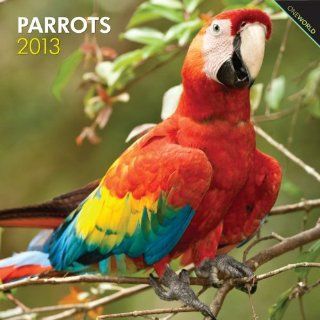 Parrots 2013   Papageien   Original BrownTrout Kalender 