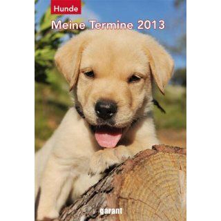 Hund 2013 Terminkalender Bücher