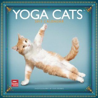 Yoga Cats 2013   Joga Katzen   Original BrownTrout Kalender 