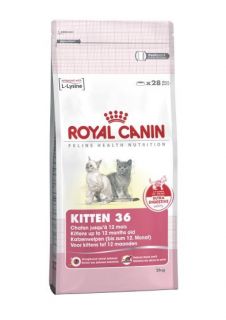 ROYAL CANIN Kitten 36 2,0 Kg Trockenfutter für Katzen