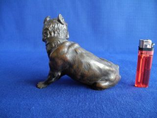 alte Bronze Hund Dogge Bulldogge Presa Canario Molosser um 1900 / 1920