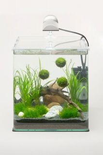 Dennerle NanoCube Complete Mini Aquarium 10 Liter NEU