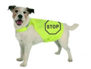 Reflektierende Sicherheitsweste Hundweste Hundebekleidung Nr.20 Maxi