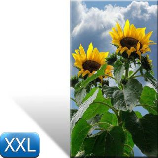 Sonnenblume Bild auf LeinwandBlume Bilder 100x55 XXL