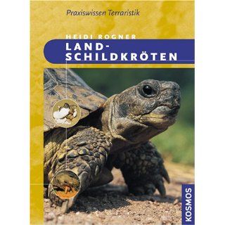 Landschildkröten Heidi Rogner Bücher