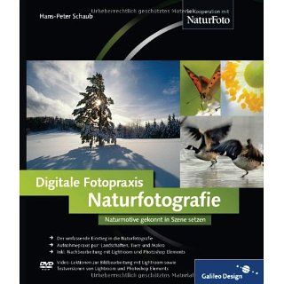Digitale Fotopraxis Naturfotografie Naturmotive gekonnt in Szene