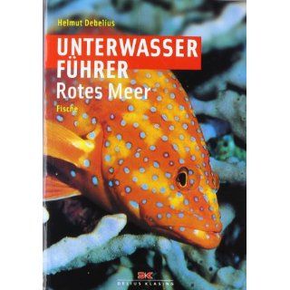Unterwasserführer Rotes Meer   Fische Helmut Debelius