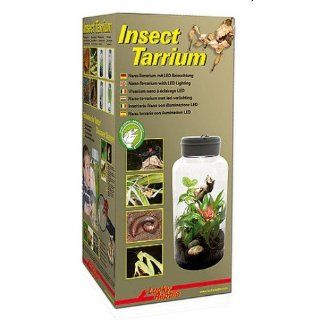 Lucky Reptile Insect Tarrium Haustier