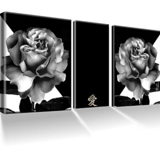 Rose Blume Schwarz Weiß Bild 3 Teilig Bilder Wandbild Kunstdruck