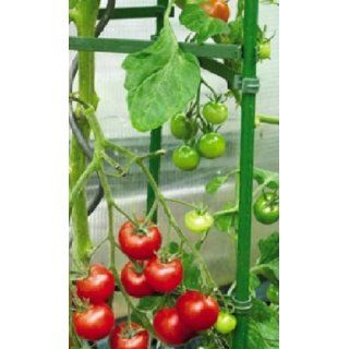 Tomaten und Gemüse Rankhilfe Garten