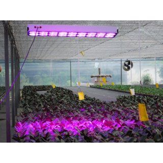 Profi LED Pflanzen Grow Lampe 225 LEDs Rot Blau: Weitere