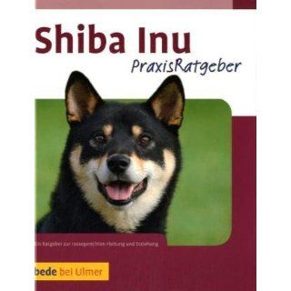 Kösener 5750   Hund Shiba Inu Koro 28 cm Kösen Spielzeug