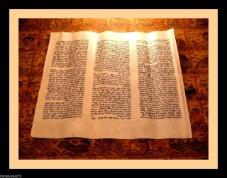 THORA auf Kalbs Haut,Handschrift,Ben Esra Synagoge, um1500 !!!