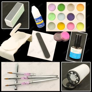 LUXUS Acryl UV Puder Set Pinsel Künstliche Fingernägel