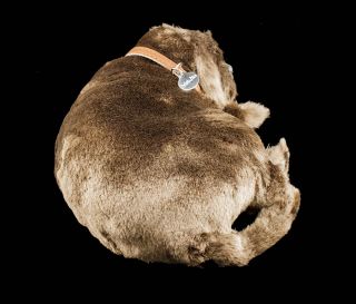 Perfect Petzzz atmender schlafender Labrador Hund Soft lebensecht