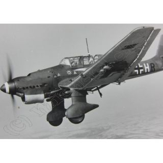 Ju 87 Stuka, Kennung, Staffelwappen, Sturzkampfbomber, 2.WK/521