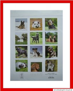 HUNDEKALENDER 2013 Wandkalender Kalender Hund Hunde Dog Tier