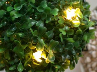 3x12 LED Lichterkette im Buchsbaum integriert   Set Buchsbäume