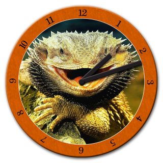 Bartagame  Chamäleon  Reptilien  Gecko  Echse  Glaswanduhr ¢