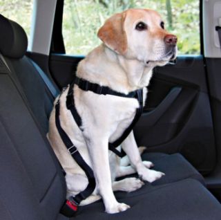 Hunde Sicherheitsgurt / Auto Sicherheitsgeschirr / Führgeschirr / XS
