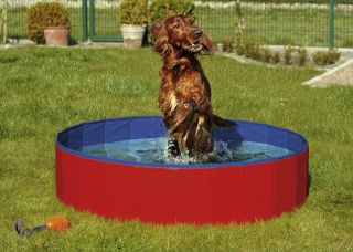Doggy Pool Hunde POOL Hundepool 120x30 auch Rechteckig#