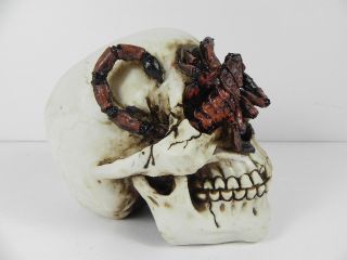 TOTENKOPF Skorpion in Auge Schädel,Skull,14 cm,NEU