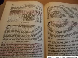 Die Bibel 1929 Bildern von R. Schäfer/Die Heilige Schrift/Theologie