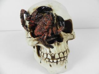 TOTENKOPF Skorpion in Auge Schädel,Skull,14 cm,NEU