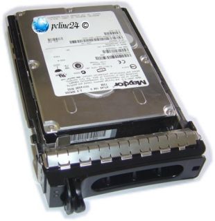 Dell 0YP778 Seagate ST3300656SS 300GB SAS 15K PowerEdge Tray fuer 1950