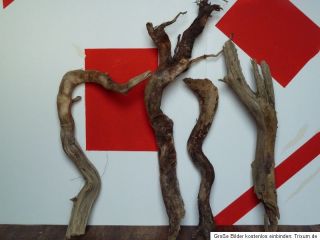 Treibholz/Schwemmholz 4 grandiose Wurzeln Baumteile Basteln Dekoration
