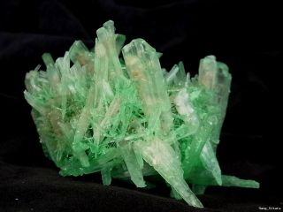 Excellente Große Lindgrüne Selenit Gips Kristall Stufe 9,1cm *AAA