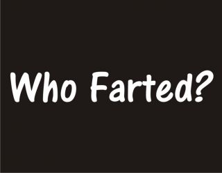 WHO FARTED? Rude Adult Humor Vulgar Offensive College Mean Rude Funny