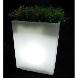 Jardinière lumineuse rectangulaire H70 ampoule E27   Achat / Vente