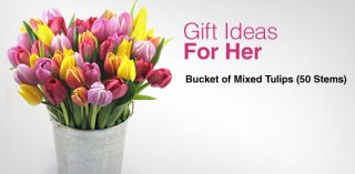 Gift Ideas for Her   Day 6   Bucket of Mixed Tulips (50 Stems)