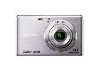 Sony Cyber Shot DSC W550 14.1MP Silver Digital Camera