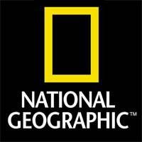 gorillr national geographic 48 cm avec son petit dans les bras 25cm
