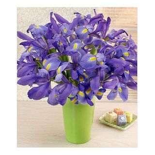 Bouquet of Blue Iris (20 flowers)
