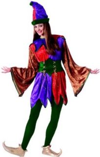 Renaissance Jester or Clown Costume   Adult Std.: Clothing