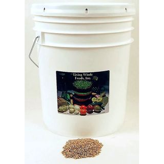 Living Whole Foods 35 pound Bucket of Organic Wheat Grain Seed Today
