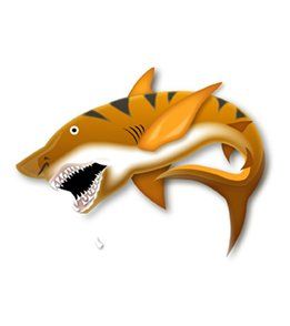 Swim Tattoos Tiger Shark: Swim Tattoos: Sports & Outdoors