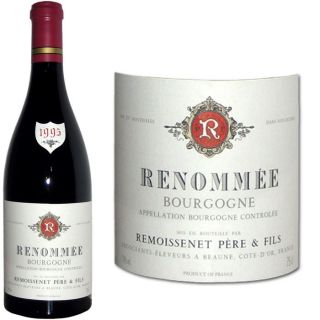 / Vente VIN ROUGE Remoissenet Bourgogne Pinot 95