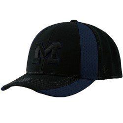 Zephyr Michigan Wolverines Black Trainer Fitted Hat (6 3/4
